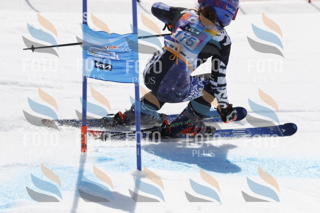 _U3G1647 | holidayphoto