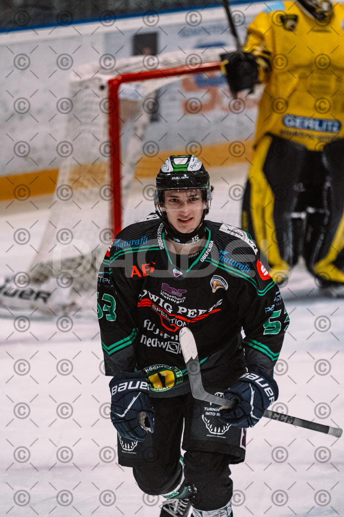 Alligators_vs_Bayreuth_16_01_2026-39 | Höchstadt Alligators Fotogalerie: Eishockey-Action aus Franken. Professionelle Spielfotos, Portraits & Stadionbilder zum Download. Jetzt entdecken! - Realisiert mit Pictrs.com