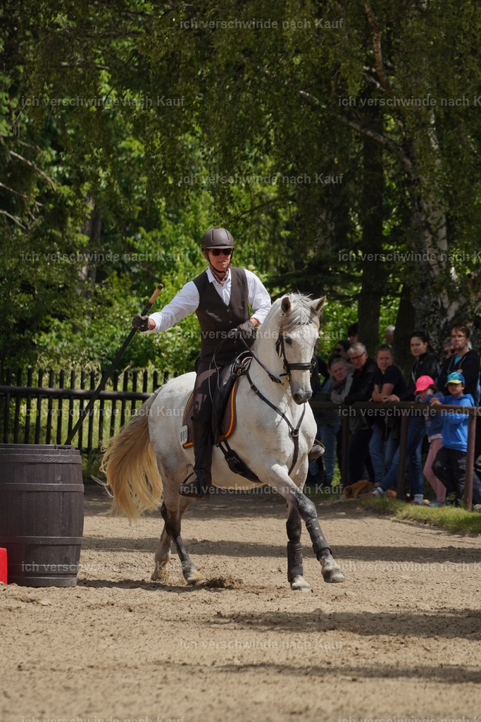 KlasseS_Lucie (95) | working equitationturnier fotograf videograf stoibphotography marixx film working equitation deutschland reitsport turnierfotografie eventfotografie equestrian events