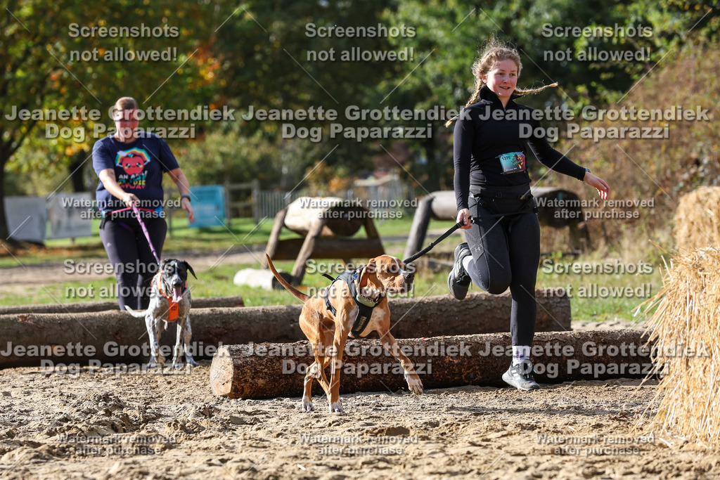 Dog Paparazzi - Strongdog 10-25-5208 | Dog Paparazzi Jeanette Grottendiek Fotografie & Videografie - Realisiert mit Pictrs.com