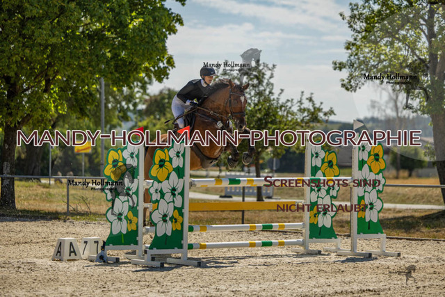 26-7-24 SPF M+-836 | mandyhollmannphotographie