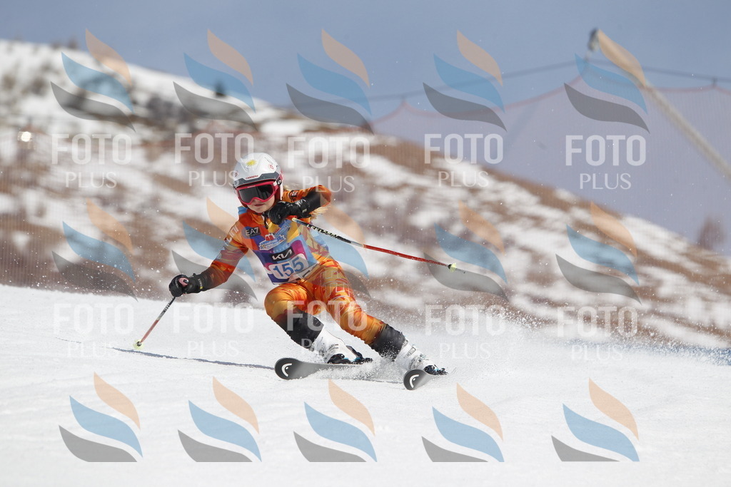 _U3G1318 | holidayphoto