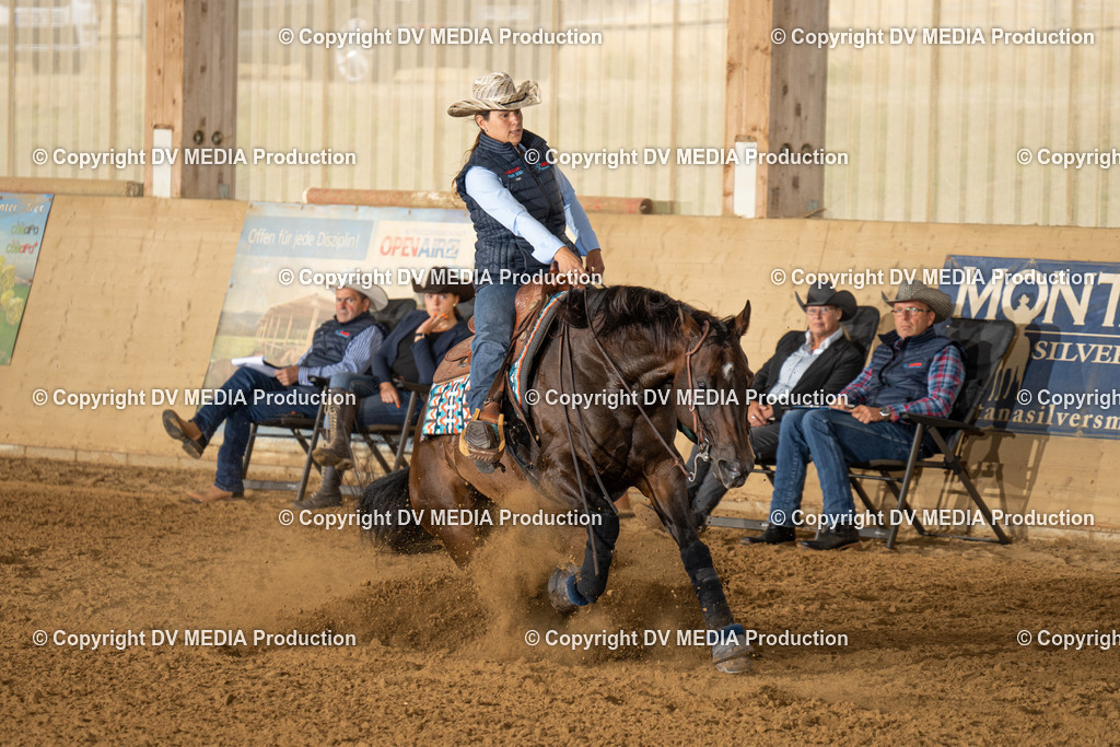 LAU01428 | dv-media-shop - Realisiert mit Pictrs.com