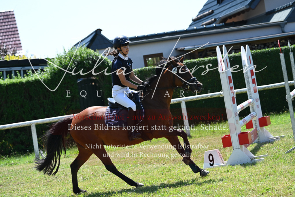 DSC_0825 | Pferde- und Turnierfotografie in Westsachsen. Pferdeportraits, Auftragszeichnungen und intuitive Kunst.