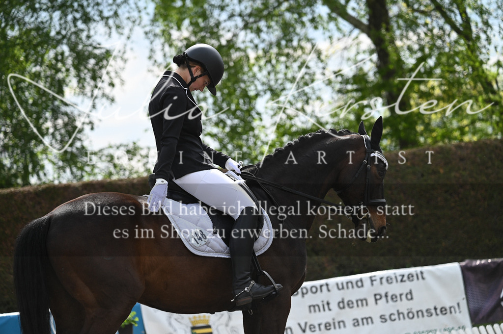 20230512_JK-Röhrsdorf-08-166 | Pferde- und Turnierfotografie in Westsachsen. Pferdeportraits, Auftragszeichnungen und intuitive Kunst.