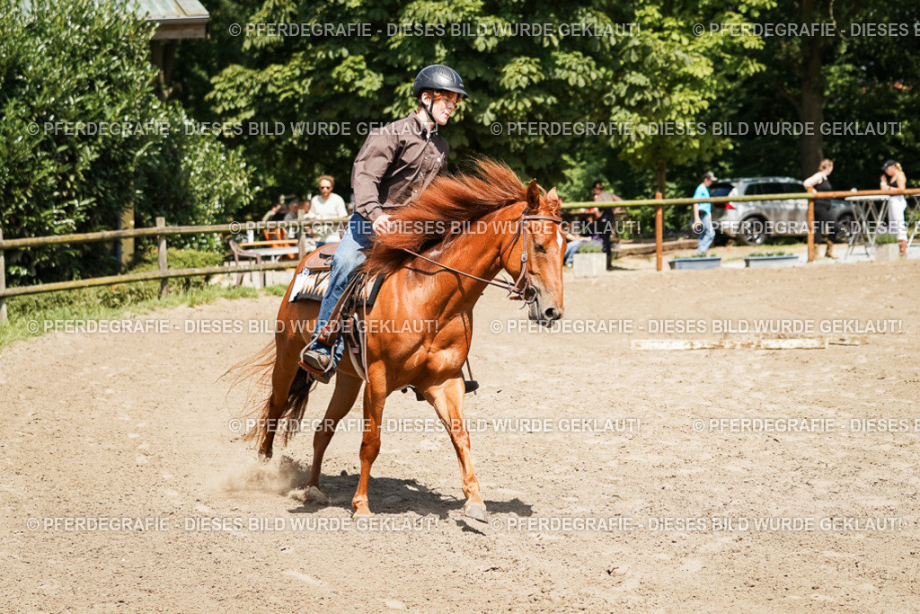 DSC07572 | Pferdegrafie