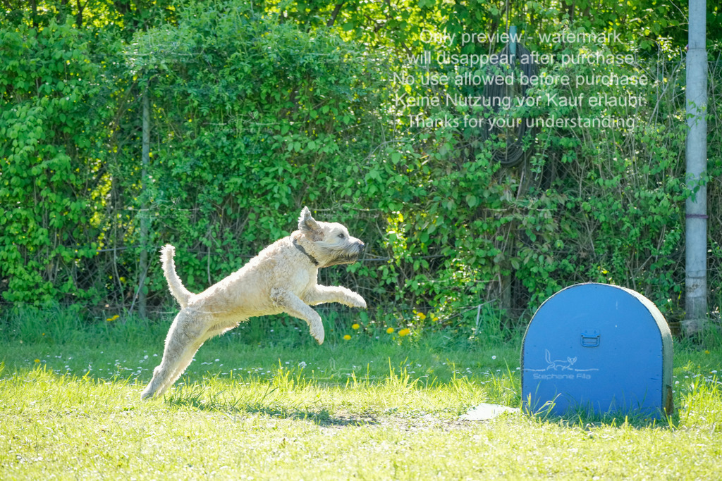 Sa_VK3_03-53 | stephaniefillaphotographie - Realisiert mit Pictrs.com