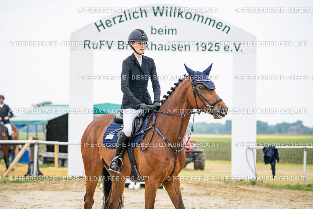 DSC09616 | Pferdegrafie