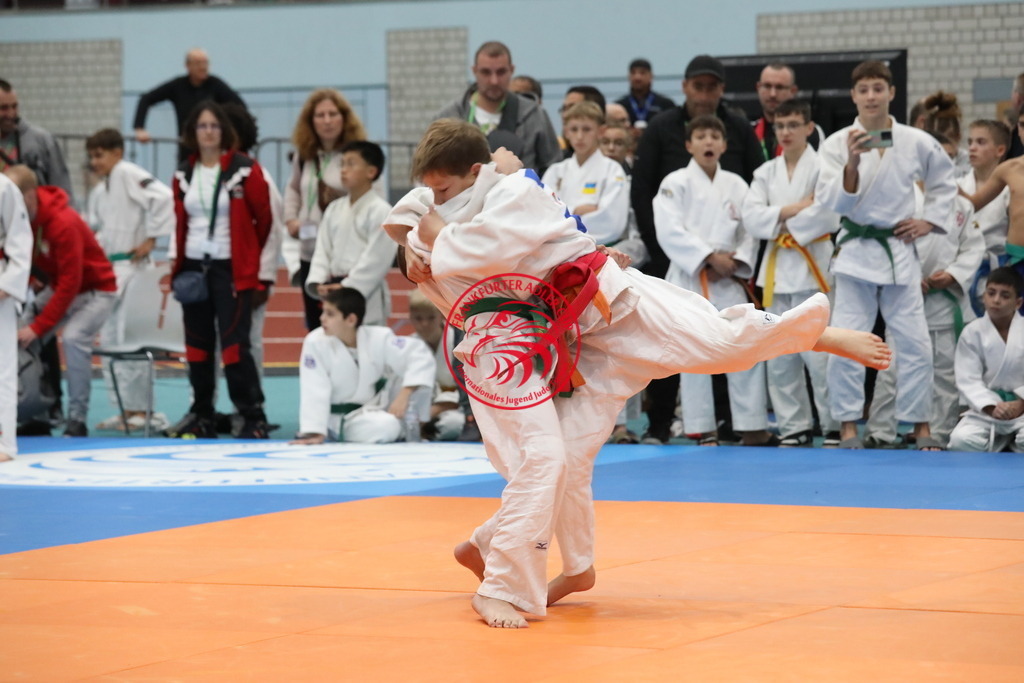 1J7A2763 | Fotos vom Adler Cup - Pictures from Adler Cup

Hier findet Ihr alle Eindrücke und großen Momente der Adler Cup Wochenenden. Here you will find all impressions and great moments of the Adler Cup weekends. - Realisiert mit Pictrs.com