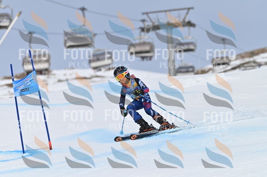 BGV_3669 | holidayphoto