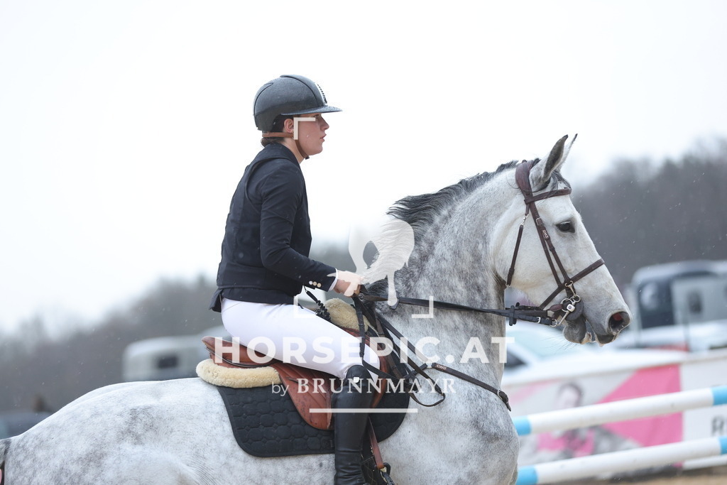 0P6A9725 | Willkommen bei Brunnmayr - Design & Fotografie – Ihrem Spezialisten für Reitturniere und Pferdeveranstaltungen in Oberösterreich, Salzburg und Bayern! Seit über 17 Jahren sind wir leidenschaftlich dabei.