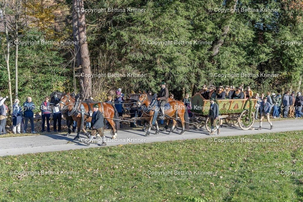 LBT25-168 | foto-bettina-krinner - Realisiert mit Pictrs.com