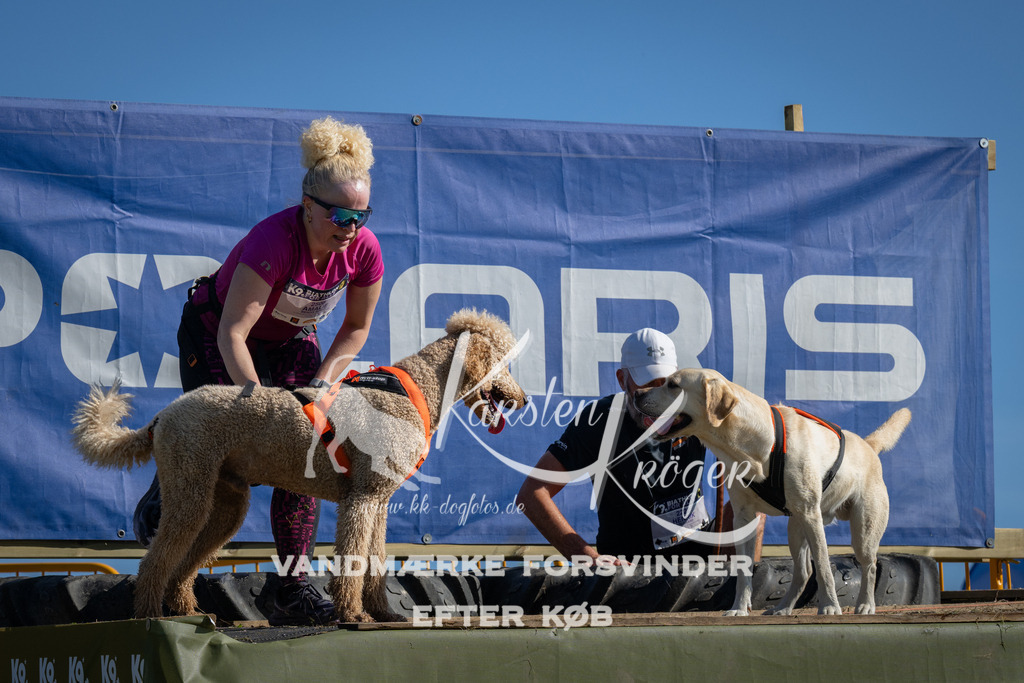 1000_ZZ97138 | kk-dogfotos