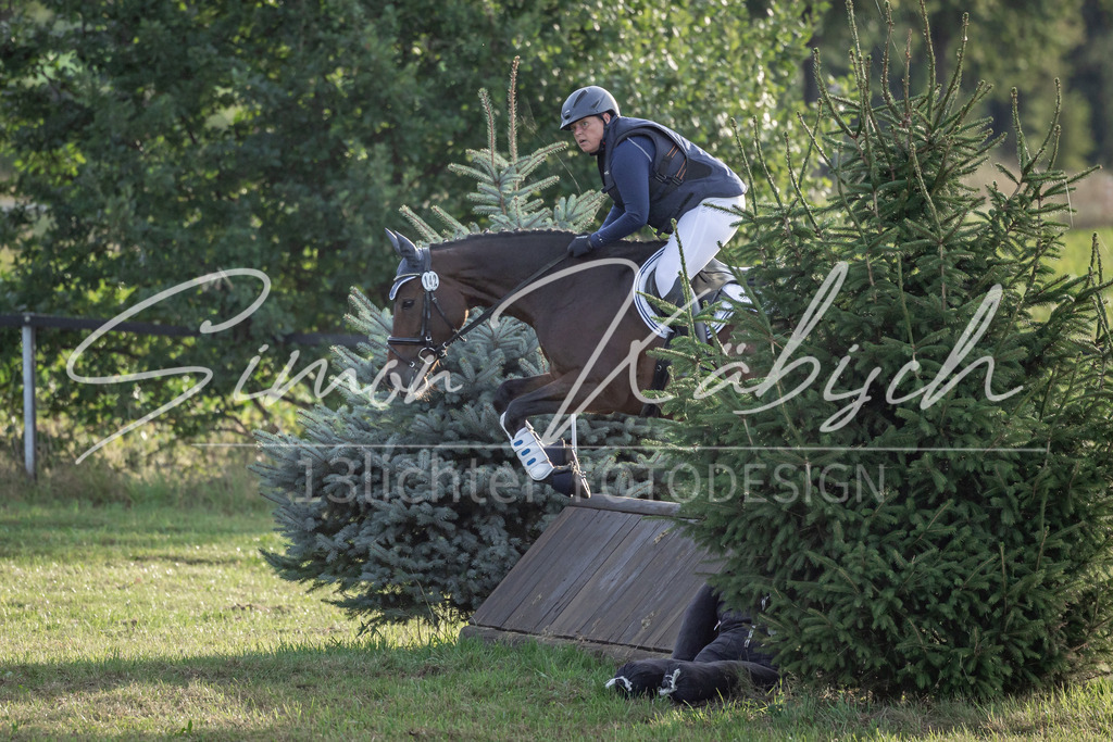 20250907-_3LI8272 | Tierfotografie Pferde, Hunde, Katzen, Haustiere.
Turnierfotografie Reitturniere, Reiten, Springreiten, Dressur in Hanau, dem Main-Kinzig-Kreis und dem Rhein-Main- Gebiet um Frankfurt
