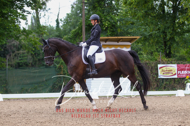 DKP41922 | Turniersportfotografie; Pferdefotografie; Dressurfotografie