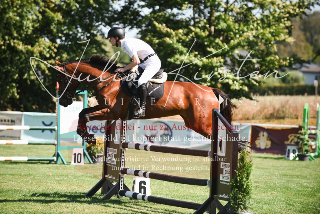 DSC_2764 | Pferde- und Turnierfotografie in Westsachsen. Pferdeportraits, Auftragszeichnungen und intuitive Kunst.