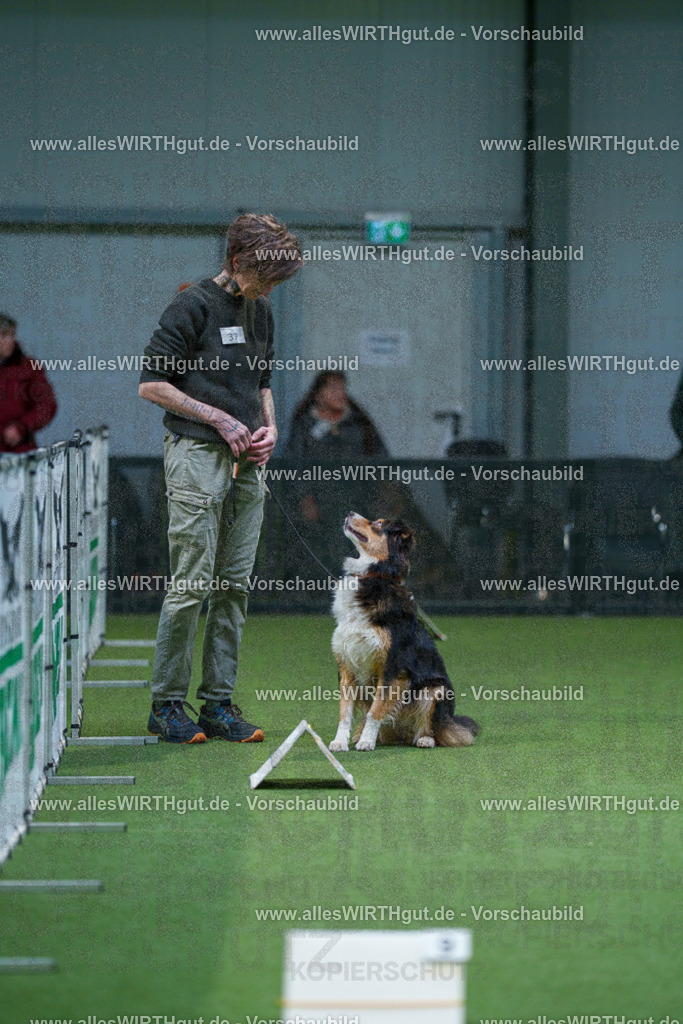 7R506017 | Professionelle Tierfotografie in Mönchengladbach von Daniel Wirth (allesWIRTHgut). Liebevolle & natürliche Bilder von Hunden & Katzen für unvergessliche Erinnerungen.