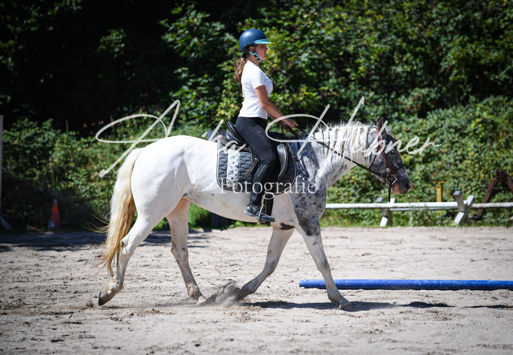 DSC_0901 | anikahuebner - Realisiert mit Pictrs.com