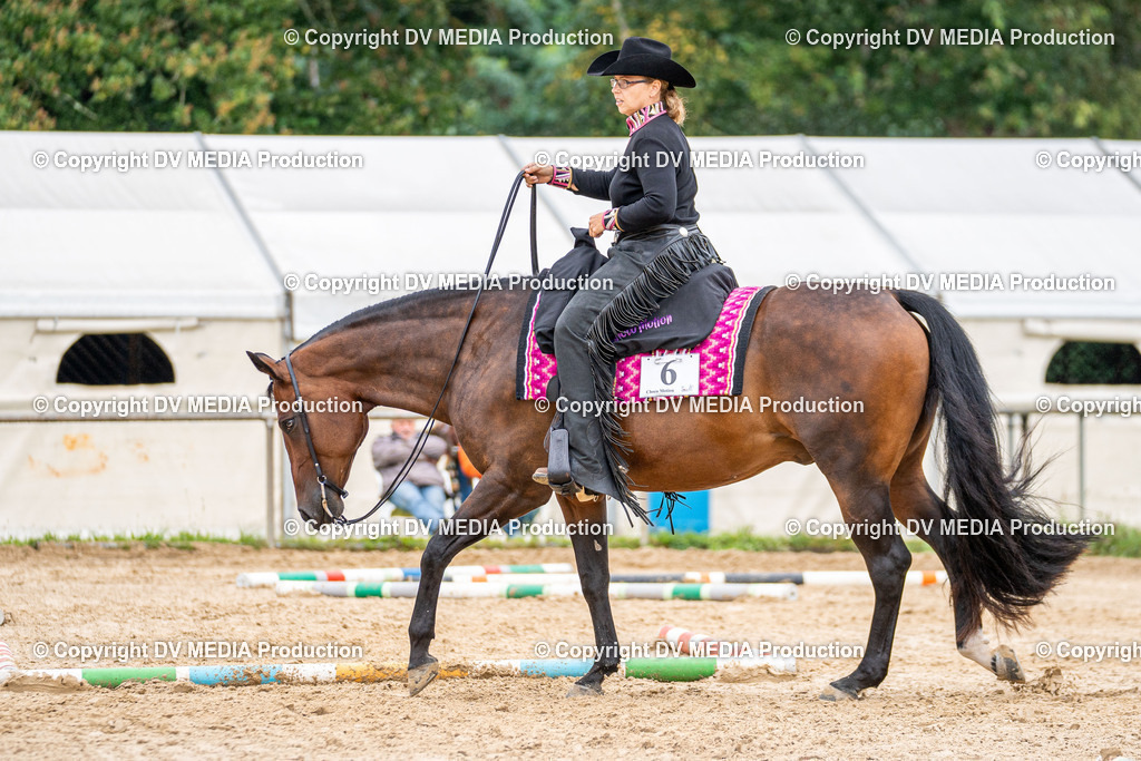 LM Heiligenwald Tag 3-508 | dv-media-shop - Realisiert mit Pictrs.com