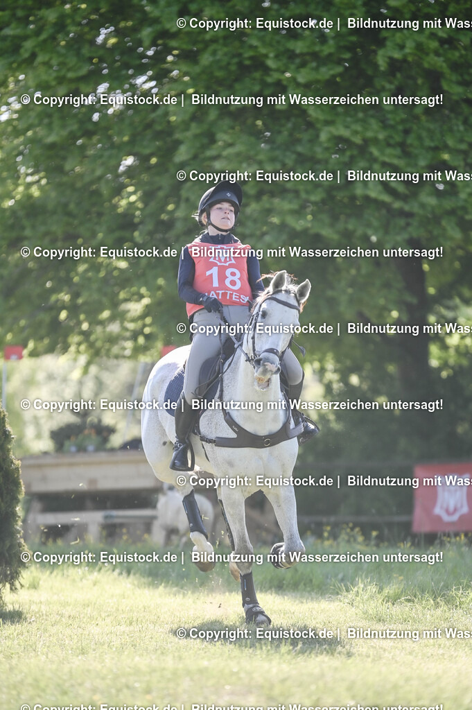 20250517_CCI2_Gelände_0469 | Foto: Thomas Hartig