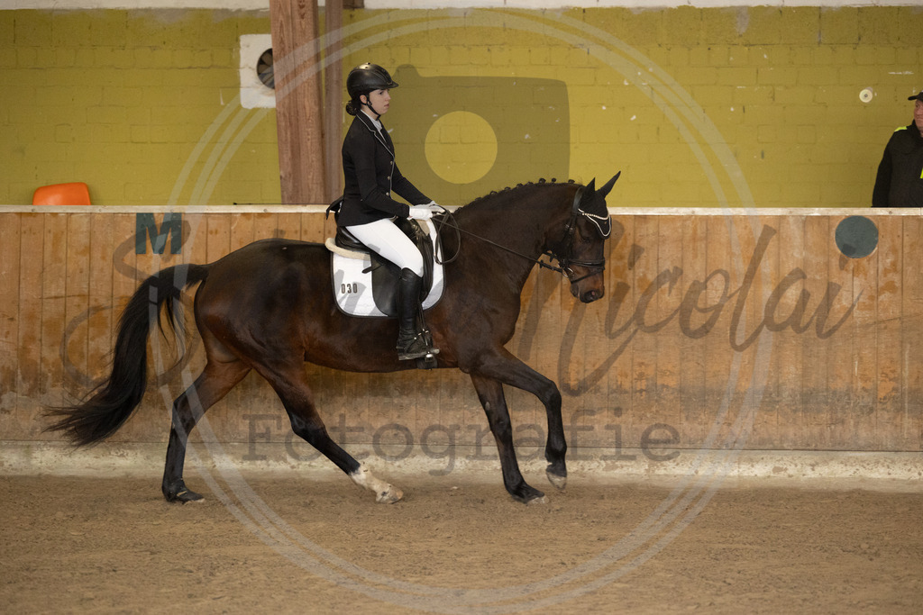 994A8613 | sabrinanicolaifotografie - Realisiert mit Pictrs.com