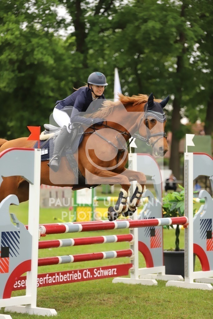 IMG_6734 | Pauline Ullmann Photography - Realisiert mit Pictrs.com