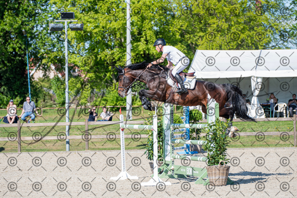 KPT_1868 | andre_photographic