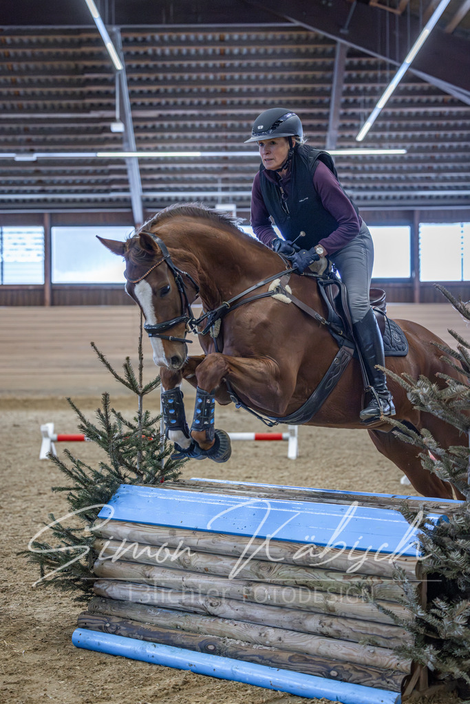 20260221-_3LI8575 | Tierfotografie Pferde, Hunde, Katzen, Haustiere.
Turnierfotografie Reitturniere, Reiten, Springreiten, Dressur in Hanau, dem Main-Kinzig-Kreis und dem Rhein-Main- Gebiet um Frankfurt