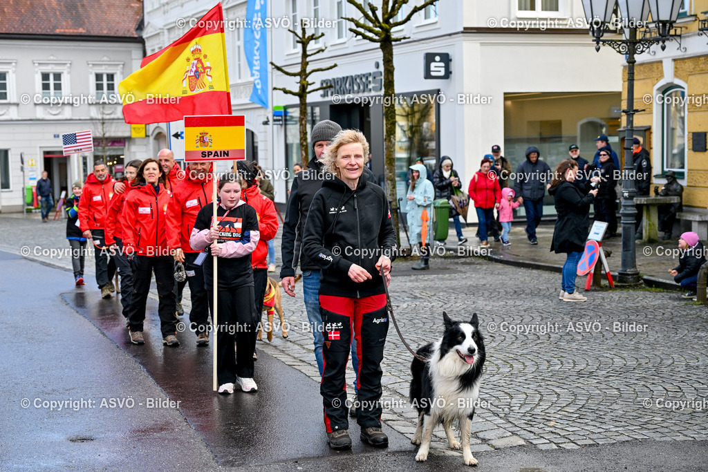 ASVÖ_ Tracking Dog World Championship 2025_ 31.03.2025-220 | 31.03.2025, AUT, ASVÖ, Tracking Dog World Championship // FCI IGP Fährtenhundeweltmeisterschaft 2025©fodo.media / Harald Dostal - Realisiert mit Pictrs.com