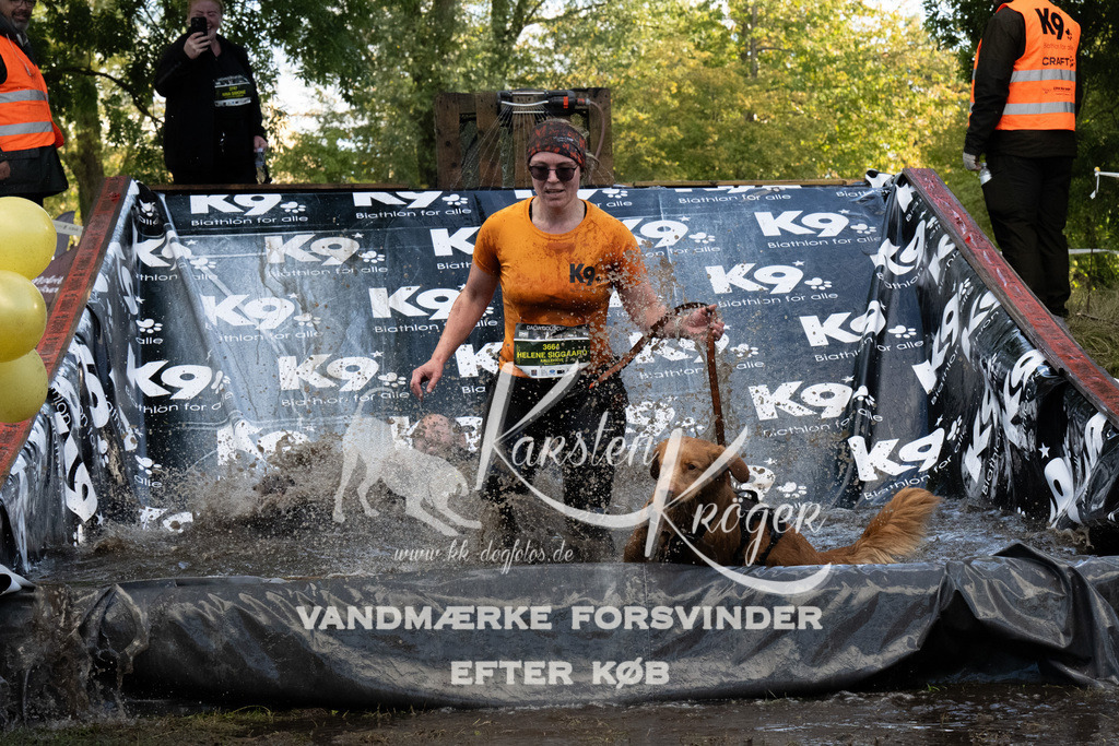 1555_ZZ91272 | kk-dogfotos