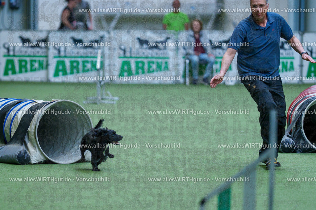 @allesWIRTHgut_Tierfotografie - www.allesWIRTHgut.de - 2604251528-7R505997 | Professionelle Tierfotografie in Mönchengladbach von Daniel Wirth (allesWIRTHgut). Liebevolle & natürliche Bilder von Hunden & Katzen für unvergessliche Erinnerungen.