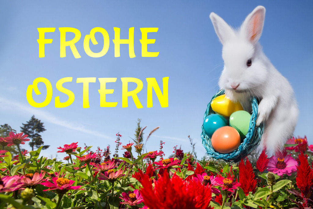 Ostergrüße: Blumenwiese im Frühling und Osterhase mit bunten Ostereiern, dazu Text FROHE OSTERN  | Ostergrüße: Blumenwiese im Frühling und Osterhase mit bunten Ostereiern, dazu Text FROHE OSTERN  - Realisiert mit Pictrs.com