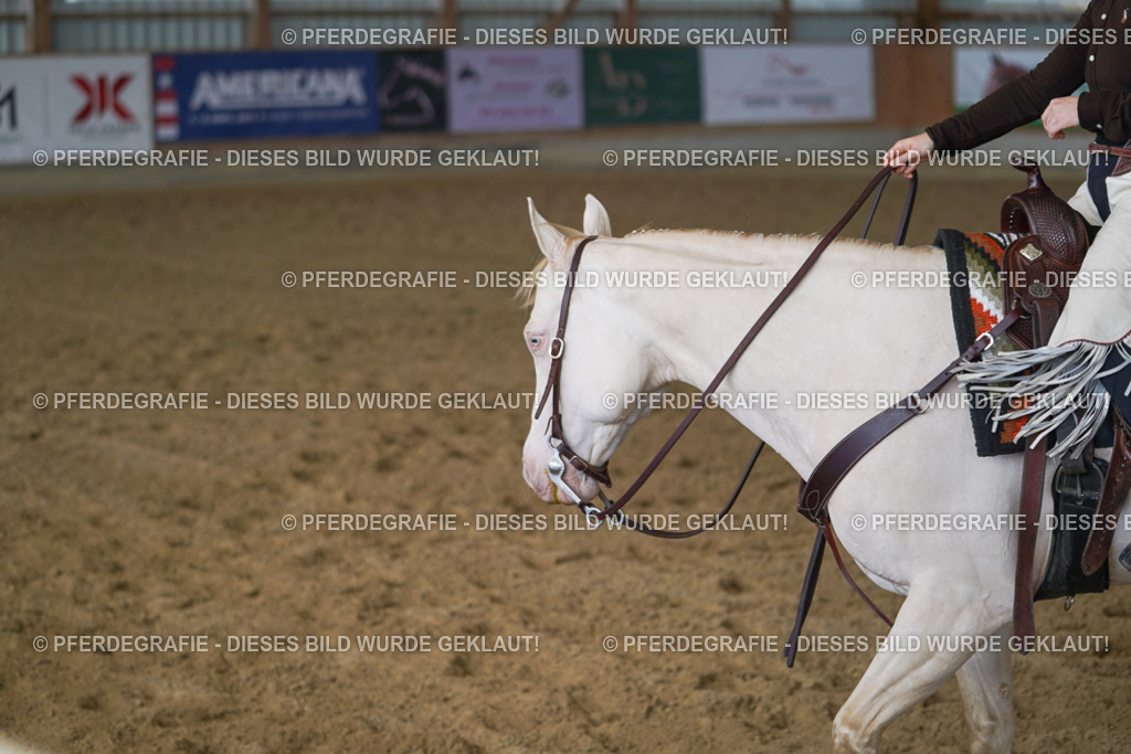 DSC00565 | Pferdegrafie