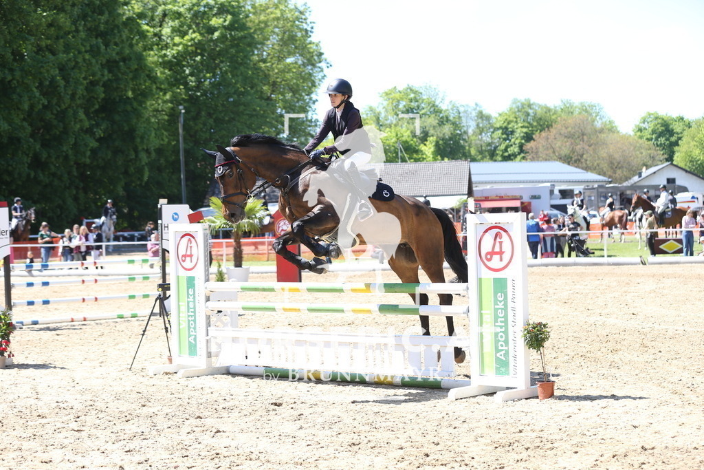 DL2Q1782 | Willkommen bei Brunnmayr - Design & Fotografie – Ihrem Spezialisten für Reitturniere und Pferdeveranstaltungen in Oberösterreich, Salzburg und Bayern! Seit über 17 Jahren sind wir leidenschaftlich dabei.