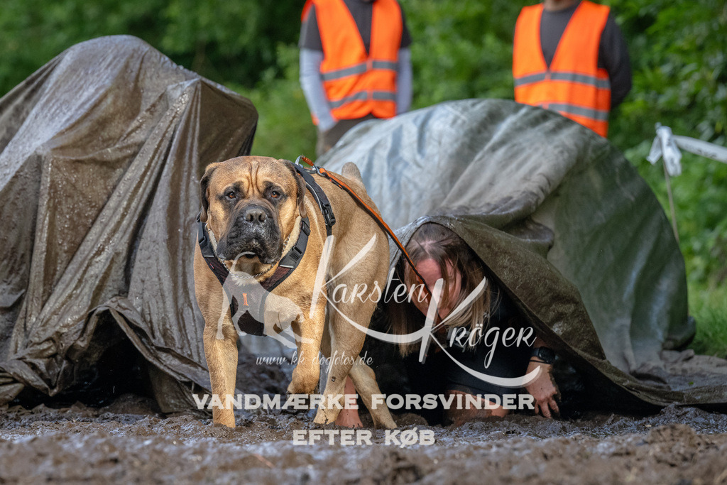 1713_ZZ91457 | kk-dogfotos