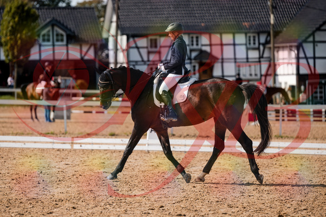 2026_10_03_Siefer-Hof_133638_Z63_97233932 | Professionelle Reitsport-, Turnier- und Eventfotografie von Robert Broda. Galerien mit ausgewählten und bearbeiteten Bildern direkt online ansehen und bestellen.