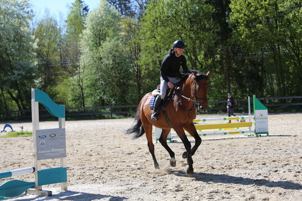 DL2Q3121 | Willkommen bei Brunnmayr - Design & Fotografie – Ihrem Spezialisten für Reitturniere und Pferdeveranstaltungen in Oberösterreich, Salzburg und Bayern! Seit über 17 Jahren sind wir leidenschaftlich dabei.