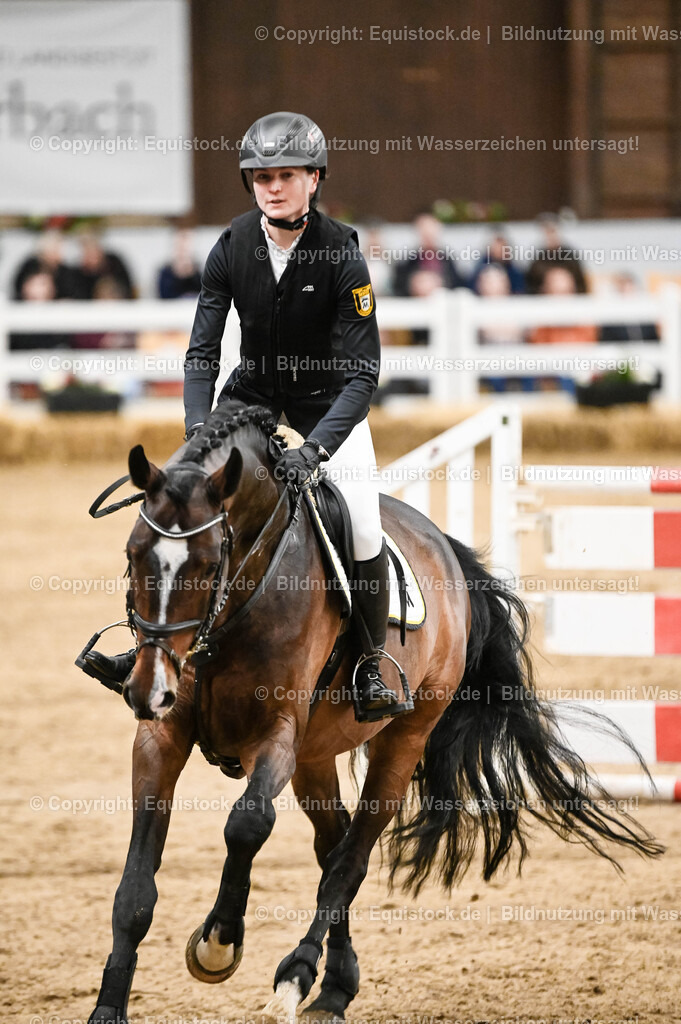 20260307_Hengstvorstellung-Marbach_0142 | equistock