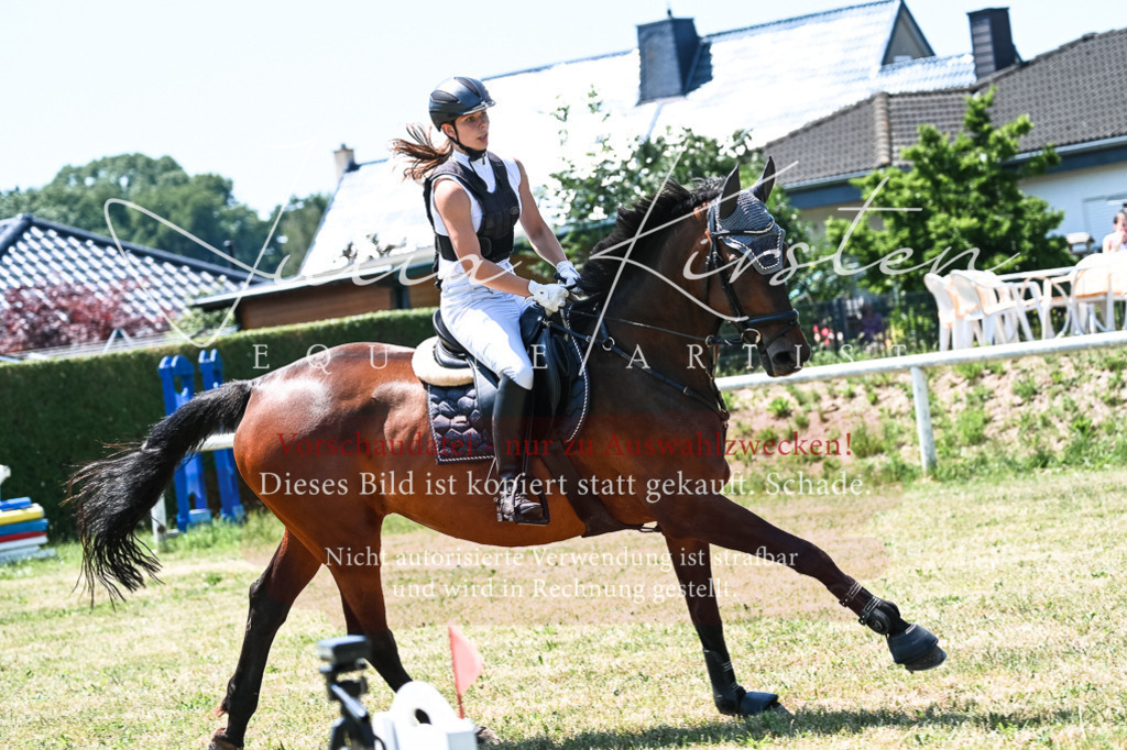 DSC_0234 | Pferde- und Turnierfotografie in Westsachsen. Pferdeportraits, Auftragszeichnungen und intuitive Kunst.