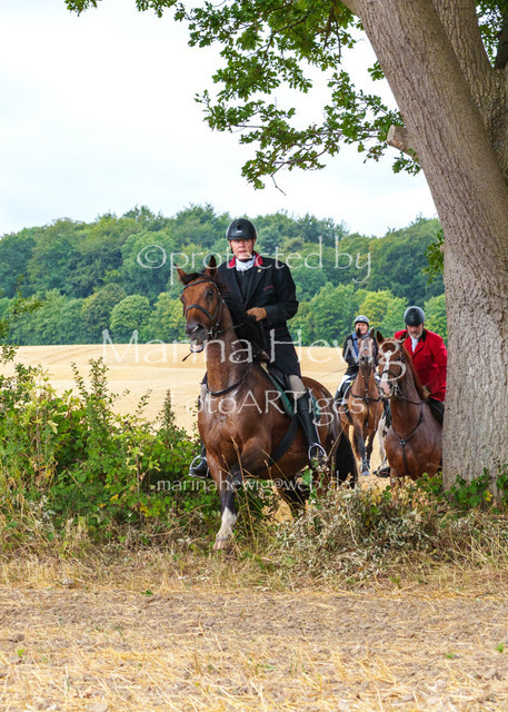 Jagd Knoop 26_MarinaHewigMCH02219 | Fotografie, FotoArt, PferdesportArt, Pferdesportfotografie, Landschaftsfotografie, Reisefotografie, Reise, Pferde - Realisiert mit Pictrs.com