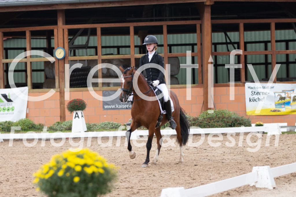 IMG_7320 | Creatify Fotografie