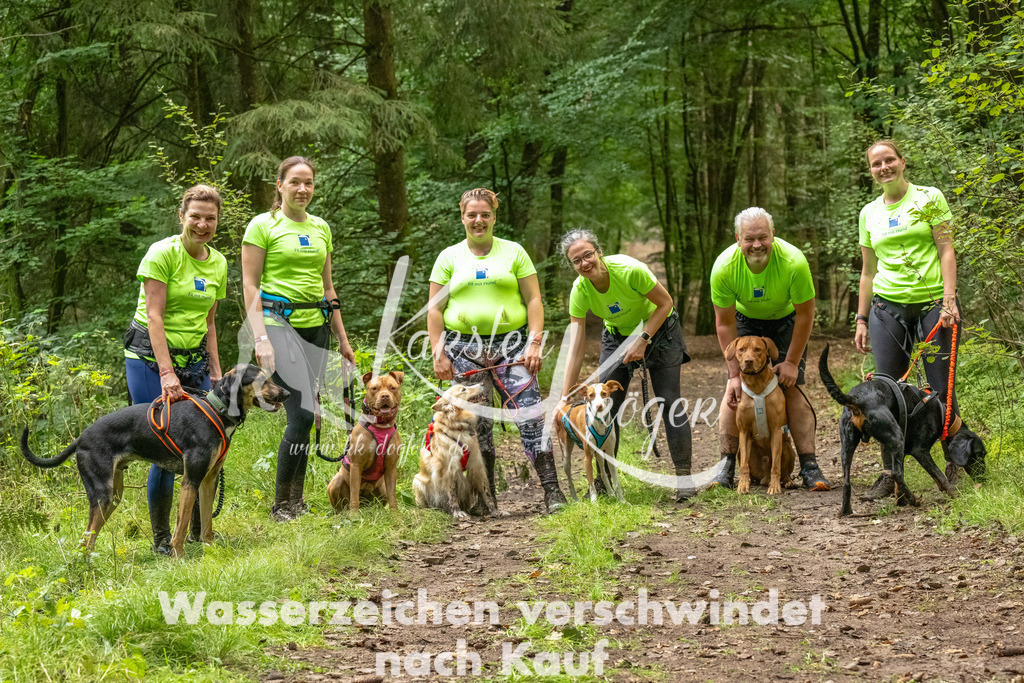 1331_ZZ93126-Bearbeitet | kk-dogfotos