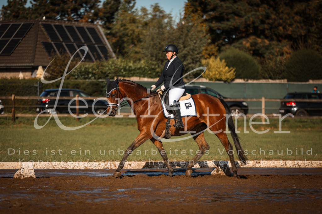 13.SoDrA100310 | Leoni Ertmer Photography - Realisiert mit Pictrs.com