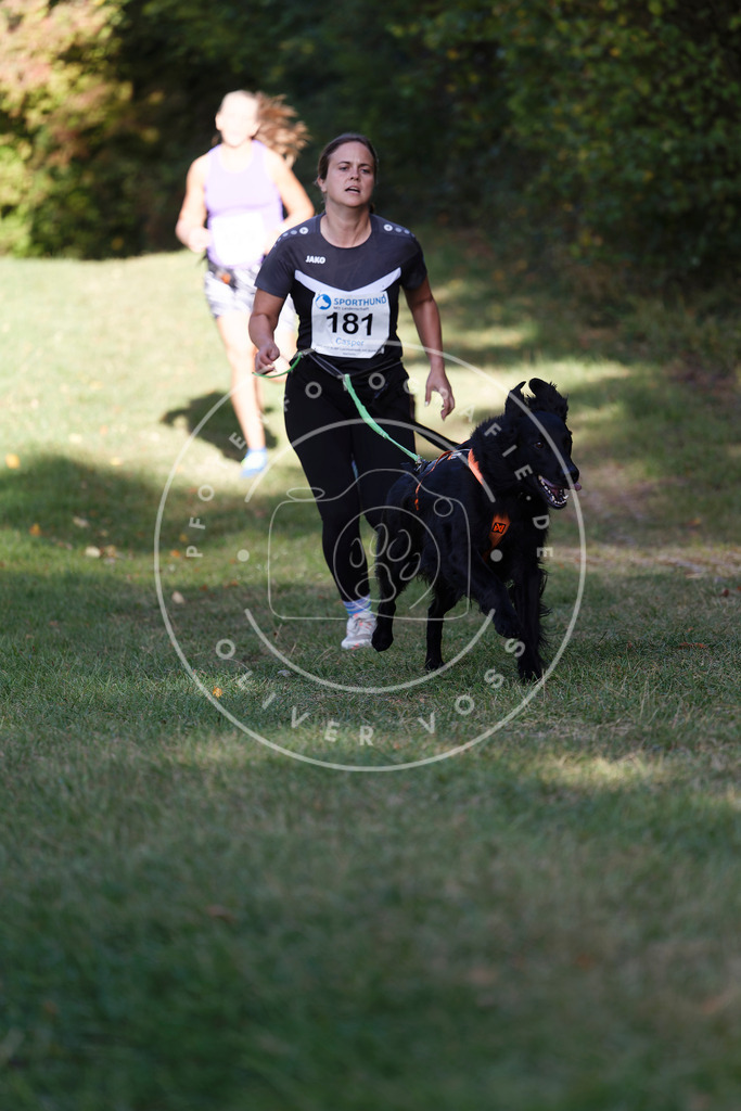 0L8A5600 | Hundefotografie, Tierfotograf, Pfotenfotografie, Fotoshooting Hund, Hunde Portrait, Hundesport, Hundeportraits, Heideshooting, Hunde, Sportfotograf, Hundefotograf, Turnierhundsport, THS,  - Realisiert mit Pictrs.com
