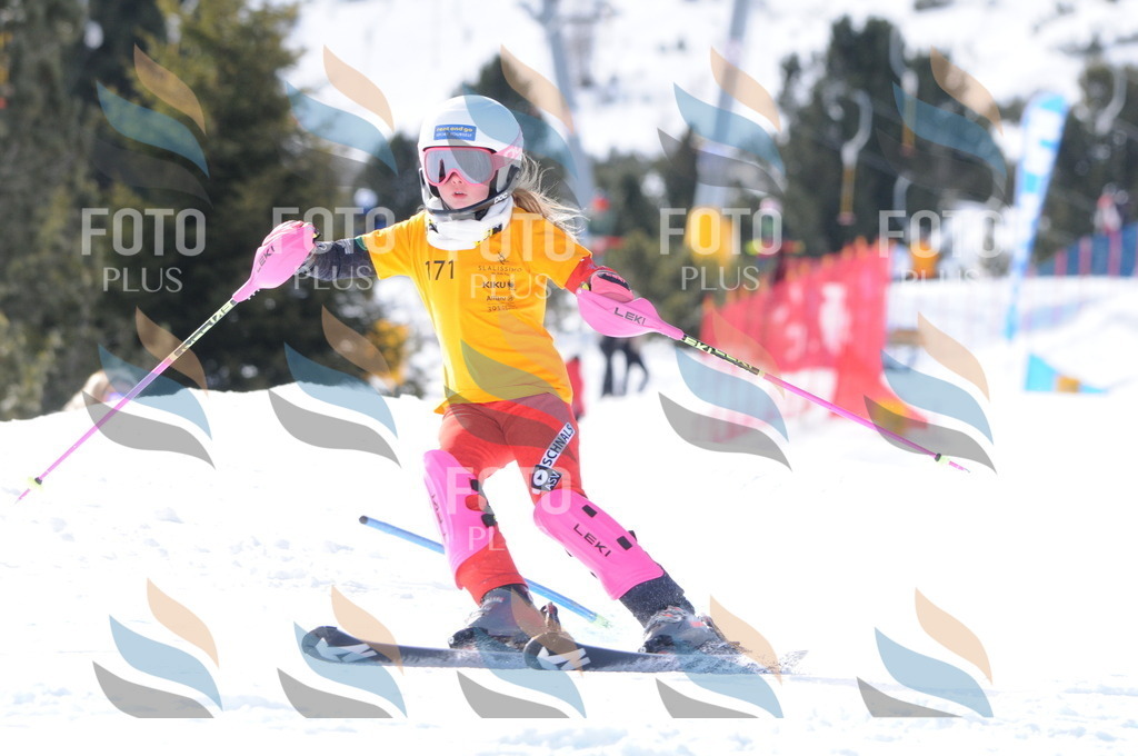 C7384 | holidayphoto