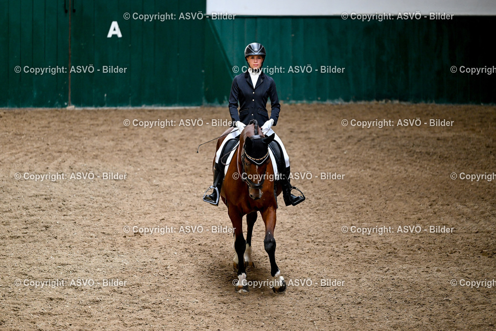 ASVÖ_ Reiten Bezirksmeisterschaft_ 24.08.2025-45 | 24.08.2025, AUT, ASVÖ, Reiten Bezirksmeisterschaft 2025Dressur und Springreiten©fodo.media / Harald Dostal - Realisiert mit Pictrs.com
