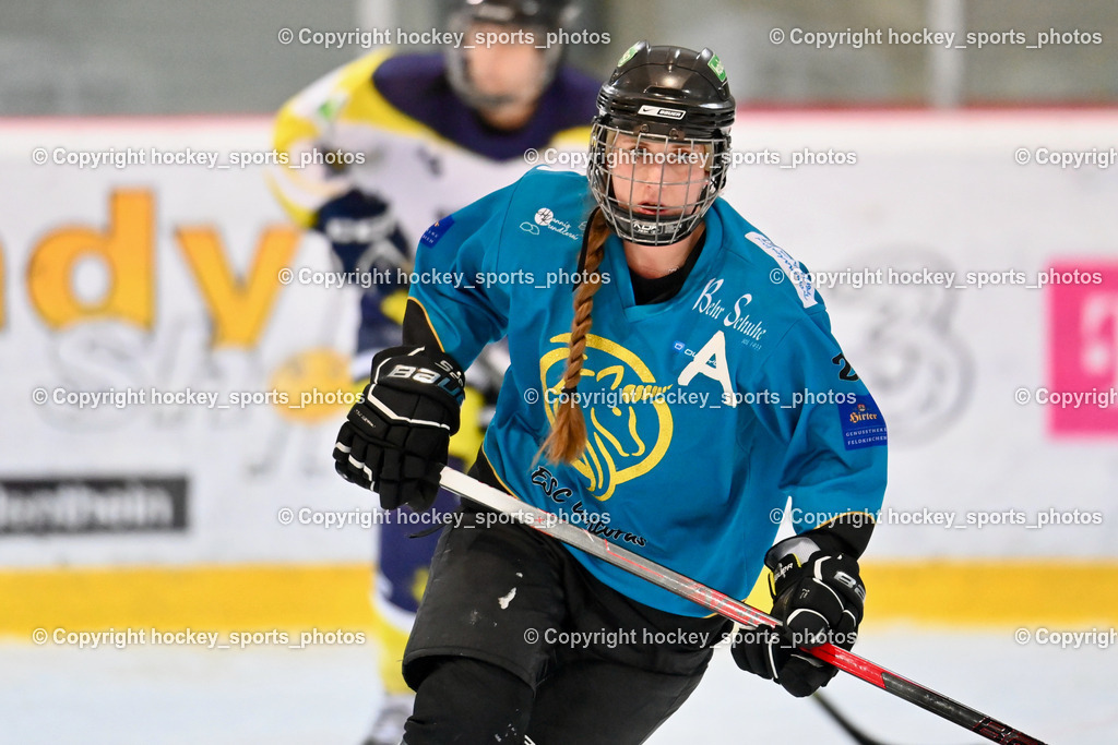 BST_6558 | hockey sports photos, Pressefotos, Sportfotos, hockey247, win 2day icehockeyleague, Handball Austria, Floorball Austria, ÖVV, Kärntner Eishockeyverband, KEHV, KFV, Kärntner Fussballverband, Österreichischer Volleyballverband, Alps Hockey League, ÖFB, 