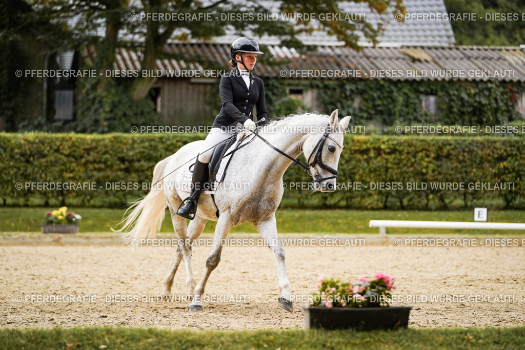 DSC07786 | Pferdegrafie