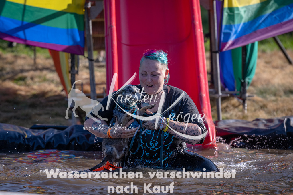 1718_ZZ94561 | kk-dogfotos