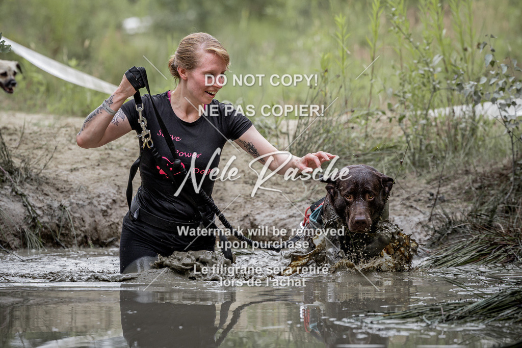 nelerasche_so1030-1100_118 | nelerasche
